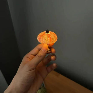 Elegantes DIY Seeigel Nachtlicht Lampe
