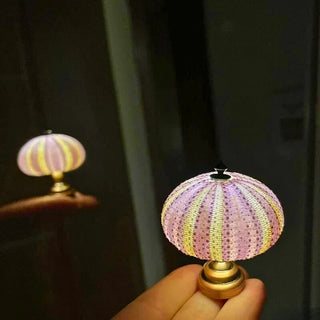 LED Nachtlicht Seeigel – Dekorative Mini Tischlampe