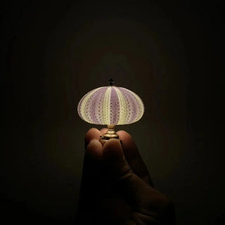 LED Nachtlicht Seeigel – Dekorative Mini Tischlampe