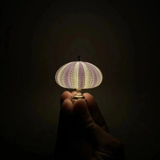 Elegantes DIY Seeigel Nachtlicht Lampe