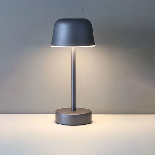 Dekorative Moderne LED- Tischleuchte