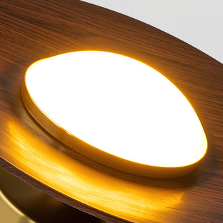 Moderne Runde Deckenlampe mit Dimmfunktion