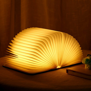 Verzauberte Buchlampe LED Tischleuchte