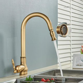 Zeitloser Vintage Küchenwasserhahn
