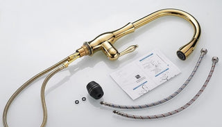 Moderne Ausziehbare Küchenarmatur